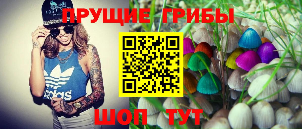 Псилоцибиновые грибы мицелий  Вход с VPN  Куйбышев 